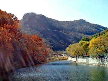 新澳天天开奖资料大全旅游团，免费穿越小说